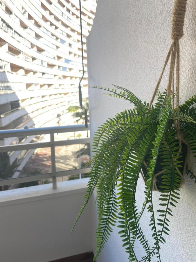 Vive El Mediterraneo - Apartamento Con Piscina En Cullera Exterior photo